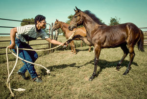 " Black Cowboys in America" with Ron Tarver and Jordan Bullock