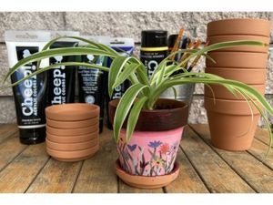 Paint a Pot