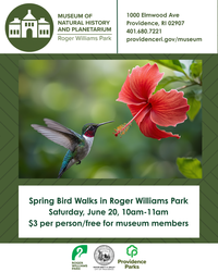 Spring Bird Walk in Roger Williams Park