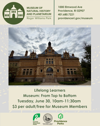 Lifelong Learners: Museum: From Top to Bottom