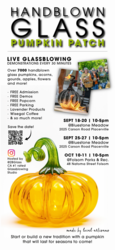 Handblown Glass Pumpkin Patch @ Bluestone Meadow of Apple Hill