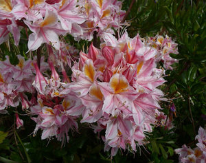 Find Out About Growing Plants