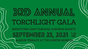 3rd Annual Torchlight Gala