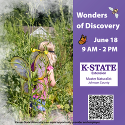 Wonders of Discovery