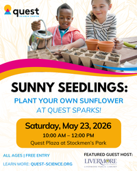 Sunny Seedlings