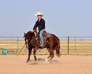 12th Annual Ranch Horse Roundup