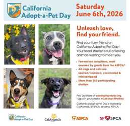 California Adopt-a-Pet Day