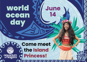 World Ocean Day Celebration