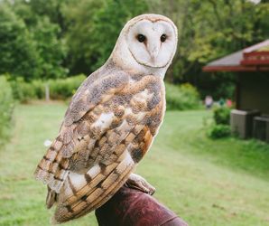 Join Wildlands' Wildlife Meet & Greet