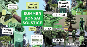 Summer Bonsai Solstice