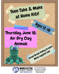 Teen Take & Make Craft Kits