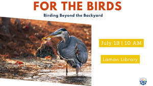For The Birds: Birding Beyond The Backyard