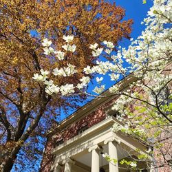 Ten Broeck Mansion Tours 2026