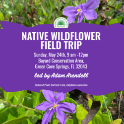 Wildflower Field Trip at Bayard Conservation Area