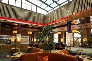 Live Music at Boleo Chicago
