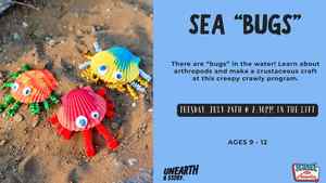 Sea "Bugs" - Tweens Dig Deeper: Ocean Creatures