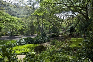 King Kalākaua Birthday