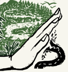 Roadless Rule Community Roundtable in Boone, NC