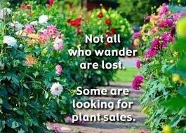 Plant Sale and Auction