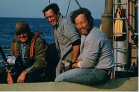 Jaws