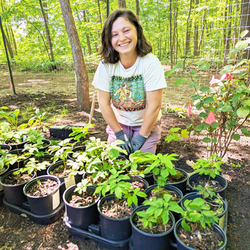 Surprise! The Popular Garden Plants  You Should Replace