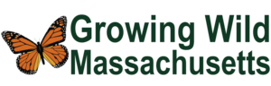 Free Native Plant Kits at 21 Nurseries and 6 Parks Through Growing Wild Massachusetts Program