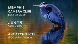 Memphis Camera Club: Best of 2025