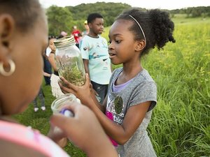 11th Annual Community Firefly Hike