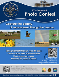 Hammonasset Beach 2026 Seasonal Photo Contest Thru June 21