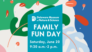 Family Fun Day
