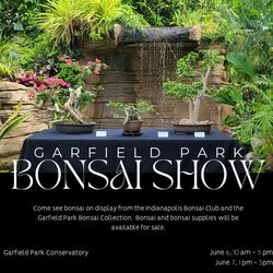 Spring Bonsai Show at Garfield Park Conservatory