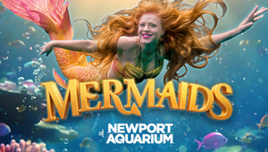Mermais at Newport Aquarium