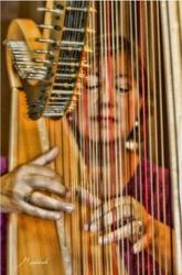 Music Sandwiched In Featuring Harpist Lorelei Barton