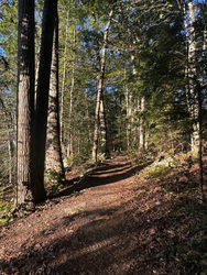 Live,Learn,Lunch: Nature Therapy