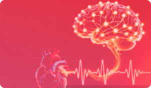 Innovations in Stroke and Cardiac Care - ISCC2026