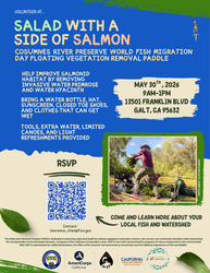 Salad with a Side of Salmon: A Volunteer Restoration Event