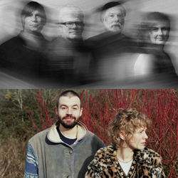The New Pornographers