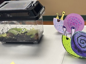 Nature Play Lab