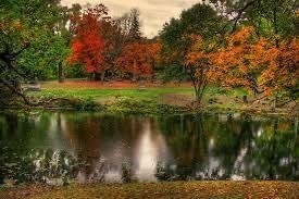 Oakwood Cemetery 1st Annual Children's Fishing Contest