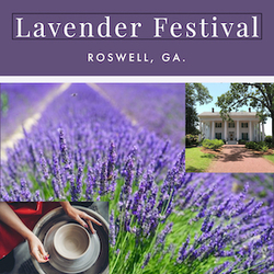 Lavender Festival