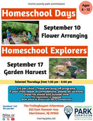 Homeschool Days: Flower Arranging