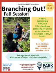 Branching out!: Fall Session