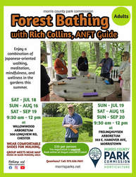 Forest Bathing with Rich Collins, ANFT Guide
