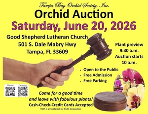 Tampa Bay Orchid Society Orchid Auction