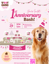 Woof Gang Bakery & Grooming One Year Anniversary Pawty