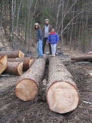 "Slow Wood: Greener Building from Local Forests" with Brian Donahue