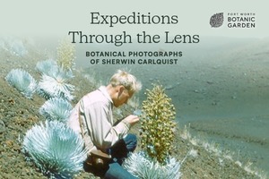 Exhibition - "Expeditions Through the Lens: Botanical Photographs of Sherwin Carlquist"