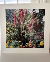 Public Reception for "In the Garden: Photographs from Sissinghurst and Great Dixter"