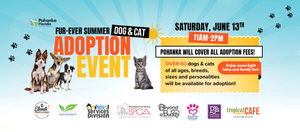 Fur-ever Summer Dog & Cat Adoption Event 🐾 No Adoption Fees! 🐕🐈‍⬛