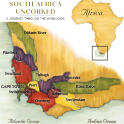 Top Wine Regions of South Africa